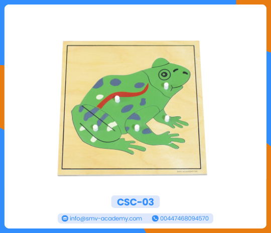 مجموعة بازل أجزاء الحيوان